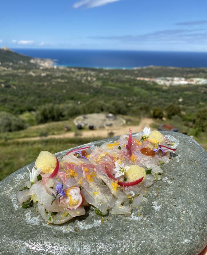 Un carpaccio de daurade accompagné de pickles d’oingons rouges et d’une écume aux agrumes servis sur un galet