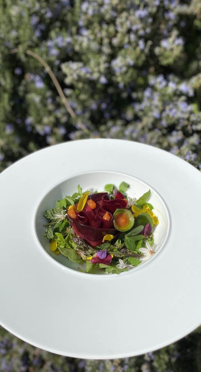 Une salade composée d’herbe sauvage, avec une fleur de betterave et un gel d’arbouse