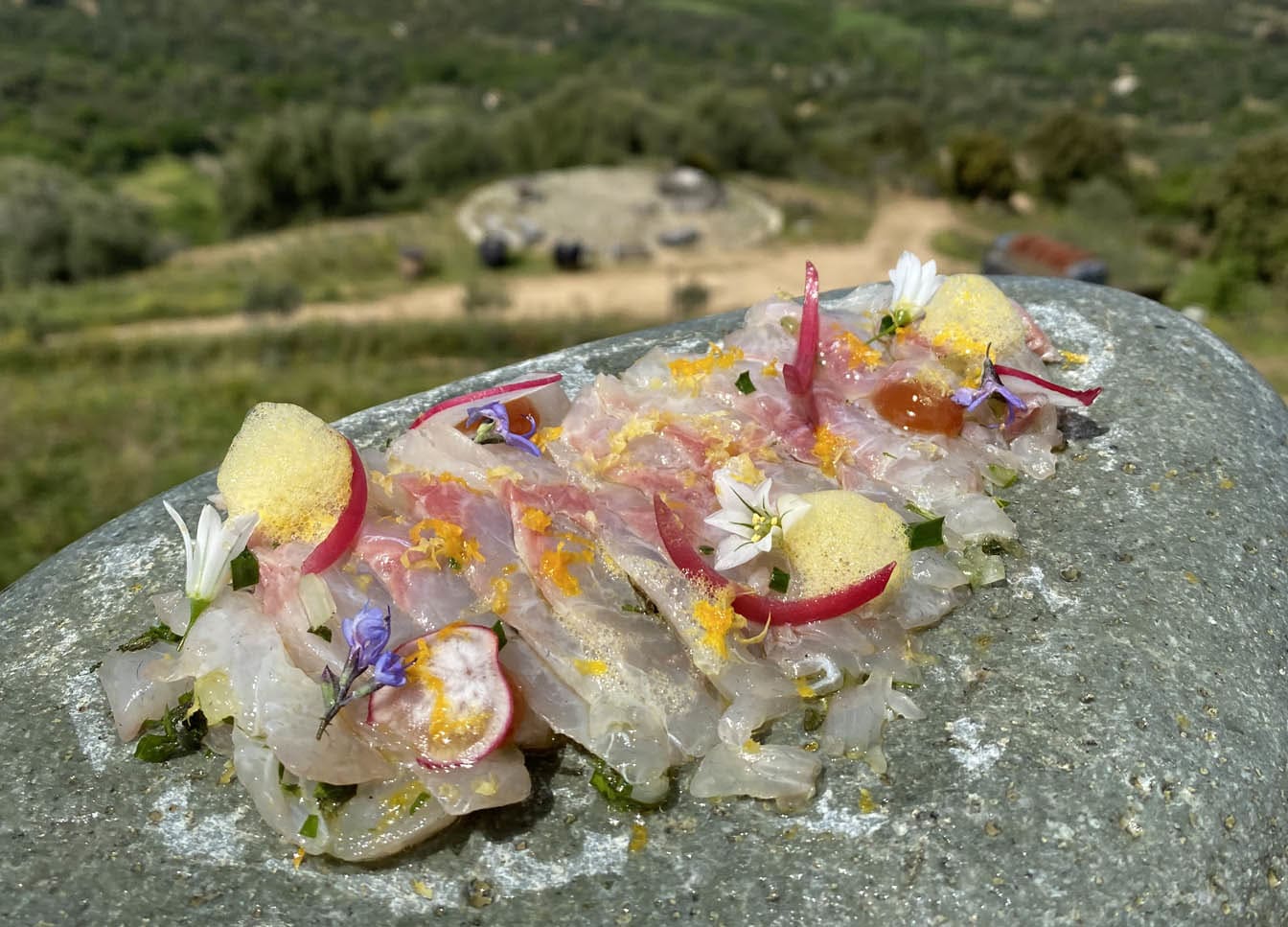 Un carpaccio de daurade accompagné de pickles d’oingons rouges et d’une écume aux agrumes servis sur un galet